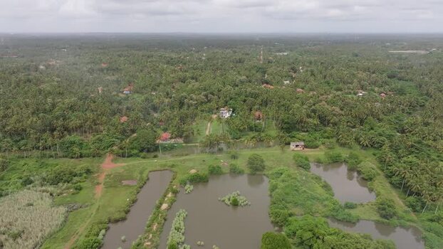 Aerial view of lush tropical landscape in Colombo Sri Lanka.