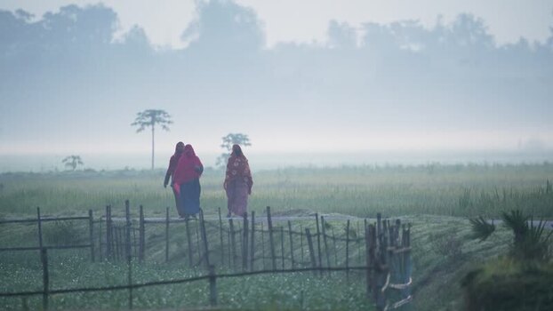 View of women walking through a misty rural field Bangladesh. View of women walking through a misty rural field Bangladesh.