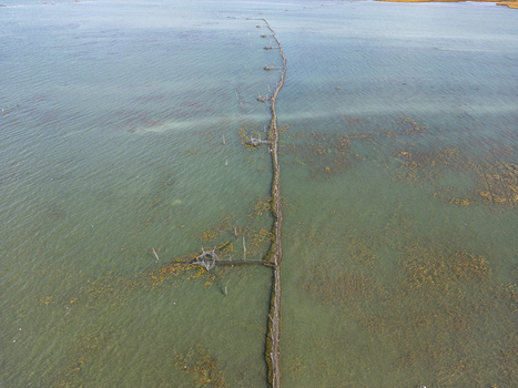Aerial view of traditional wooden fishing structures extending into the calm waters of Shkodra Lake with clear water and submerged vegetation visible in Shiroka Shkoder County Albania. Aerial view of traditional wooden fishing structures extending into the calm waters of Shkodra Lake with clear water and submerged vegetation visible in Shiroka Shkoder County Albania.