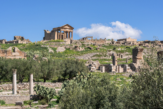 View of the Dougga Archaeological Site featuring the Capitolium temple on a hill surrounded by olive trees and stone remnants in Teboursouk Beja Governorate Tunisia.