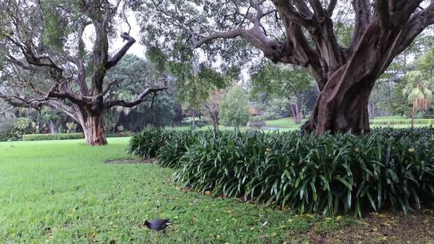 View of Royal Botanic Garden Sydney in Australia.