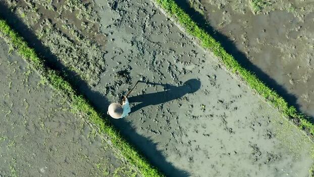 Aerial view of a farmer working in a muddy rice paddy field Indonesia. Aerial view of a farmer working in a muddy rice paddy field Indonesia.