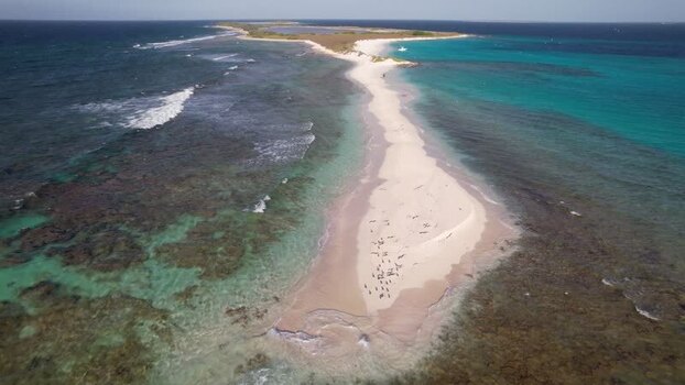 Aerial view of Los Roques sandbar and turquoise waters Venezuela.