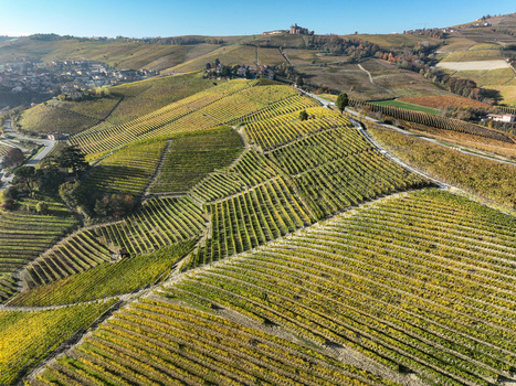Aerial view of Barolo Cannubi Hill with terraced vineyards in autumn colors under a clear blue sky Barolo Piedmont Italy. Aerial view of Barolo Cannubi Hill with terraced vineyards in autumn colors under a clear blue sky Barolo Piedmont Italy.