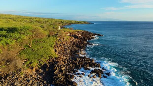Aerial view of Mahukona Beach Park and the rocky coastline United States.