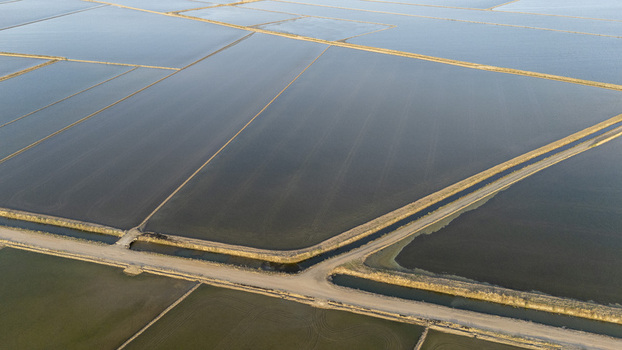 Aerial view of the flooded rice fields of Isla Minima with geometric patterns and dirt roads under soft light in Coria del Rio Andalusia Spain. Aerial view of the flooded rice fields of Isla Minima with geometric patterns and dirt roads under soft light in Coria del Rio Andalusia Spain.