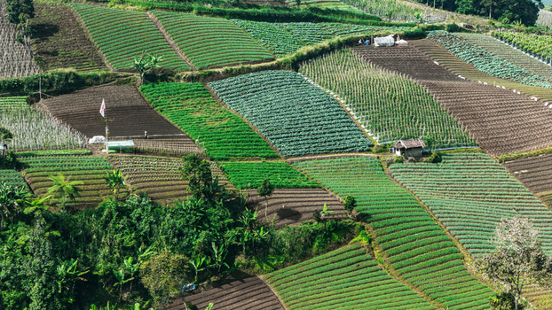 Aerial view of terraced agricultural fields and vegetable plantations on a hillside with small farm huts and lush greenery in Sukabumi West Java Indonesia. Aerial view of terraced agricultural fields and vegetable plantations on a hillside with small farm huts and lush greenery in Sukabumi West Java Indonesia.