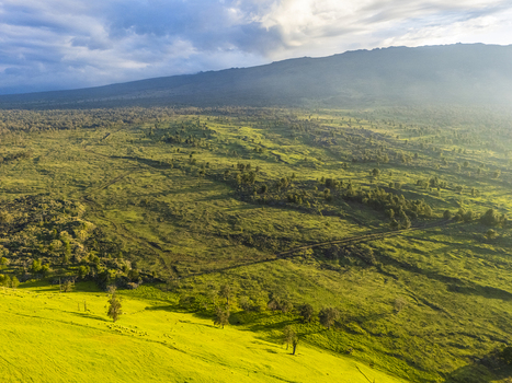 Aerial view of the lush green slopes of Puu Waawaa cinder cone with volcanic terrain and scattered trees under a cloudy sky Hawaii County Hawaii United States. Aerial view of the lush green slopes of Puu Waawaa cinder cone with volcanic terrain and scattered trees under a cloudy sky Hawaii County Hawaii United States.