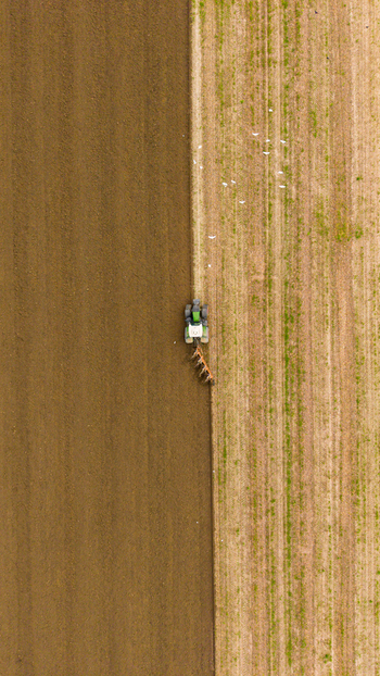 Aerial view of a green tractor plowing an agricultural field with birds flying nearby in San Giuliano Milanese Lombardy Italy.