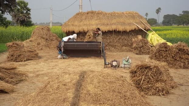 View of farmers threshing grain with a machine India.