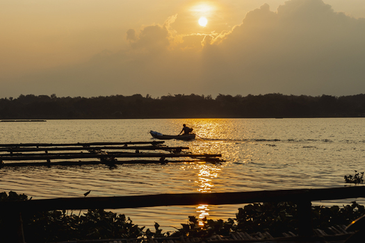 View of a fisherman in a small wooden boat on a calm lake during a golden sunset with bamboo structures in the foreground Kecamatan Tawangmangu Jawa Tengah Indonesia.