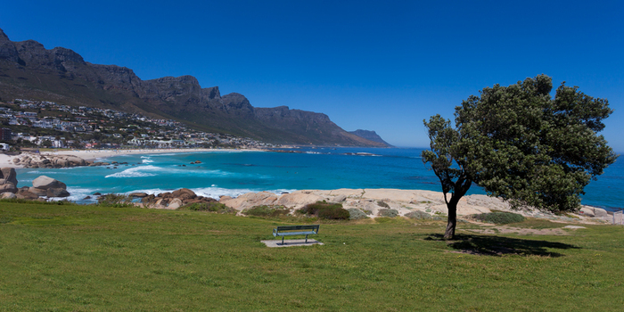 View of a lonely tree and a bench on a grassy hill overlooking a turquoise beach with rocky shores and mountains in the background South Africa.