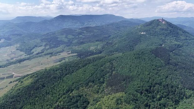 Aerial view of Haut Koenigsbourg Castle and green hills France.