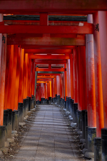 View of the Senbon Torii Thousand Torii Gates with vermilion wooden structures lining a stone path at Fushimi Inari taisha shrine in Kyoto Kyoto Japan.