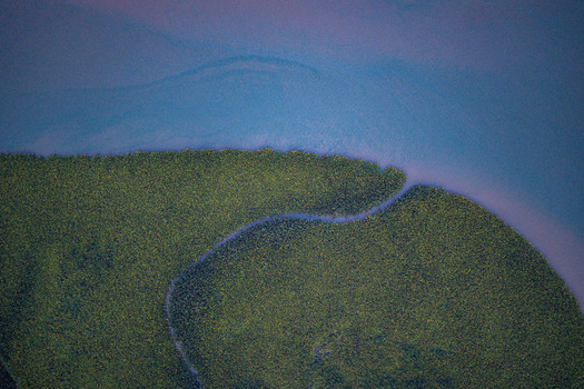 Aerial view of lush mangrove forest along the winding riverbanks in Opobo Town Rivers Nigeria. Aerial view of lush mangrove forest along the winding riverbanks in Opobo Town Rivers Nigeria.