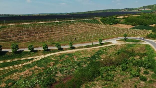 Aerial view of vineyard in Mala Remeta Serbia.