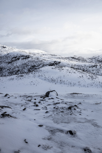 View of snowy hills and rocky terrain under a cloudy winter sky in Ersfjord Troms Norway. View of snowy hills and rocky terrain under a cloudy winter sky in Ersfjord Troms Norway.