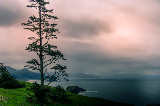 View of Haystack Rock and a lone evergreen tree on a grassy cliff overlooking the Pacific Ocean under a dramatic cloudy sky in Cannon Beach Oregon United States. View of Haystack Rock and a lone evergreen tree on a grassy cliff overlooking the Pacific Ocean under a dramatic cloudy sky in Cannon Beach Oregon United States.