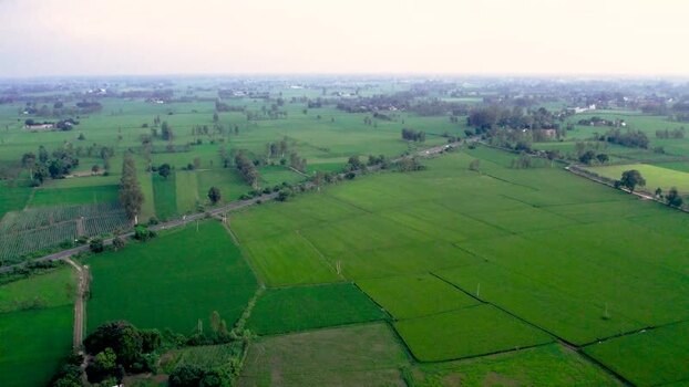 Aerial view of green agricultural fields in rural India.
