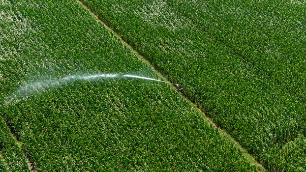 Aerial view of a center pivot irrigation system spraying water over a lush green cornfield in the agricultural landscape of Tulcea Tulcea Romania. Aerial view of a center pivot irrigation system spraying water over a lush green cornfield in the agricultural landscape of Tulcea Tulcea Romania.