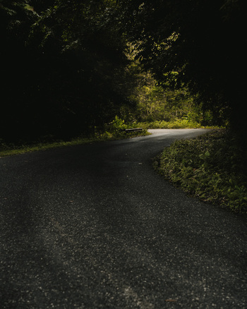 View of a winding asphalt road disappearing into a tunnel of trees where light and shadow dance in Lata Temotu Province Solomon Islands.