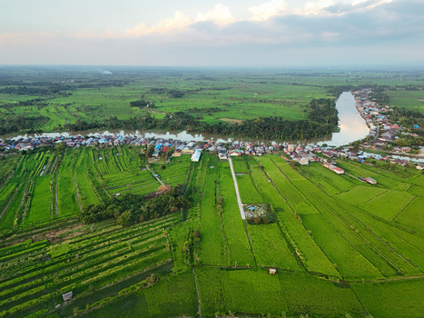 Aerial view of a winding river flowing through vibrant green rice paddies and a riverside village in Banjar Regency South Kalimantan Indonesia. Aerial view of a winding river flowing through vibrant green rice paddies and a riverside village in Banjar Regency South Kalimantan Indonesia.
