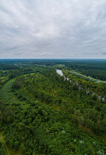 Aerial view of a winding river flowing through a dense forest under a cloudy sky in Latvia. Aerial view of a winding river flowing through a dense forest under a cloudy sky in Latvia.