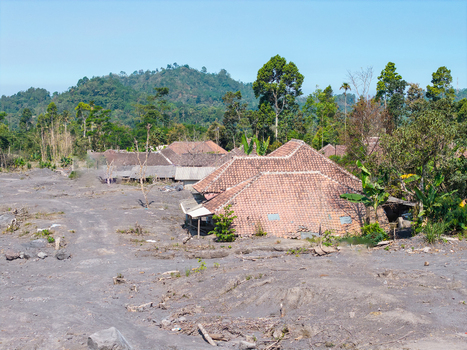 Aerial view of the aftermath of the Mount Semeru eruption in Supiturang Village showing houses buried in volcanic ash and debris near lush tropical vegetation Pronojiwo East Java Indonesia.