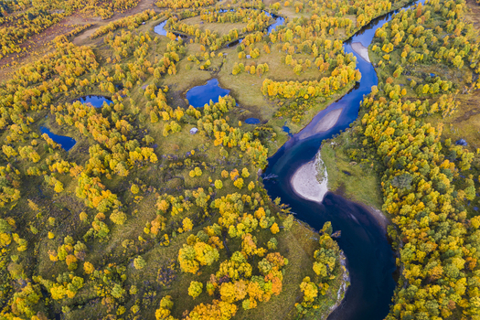 Aerial view of the winding Ljusnan river flowing through a vibrant autumn forest with golden trees and small ponds in Bruksvallarna Jamtland County Sweden. Aerial view of the winding Ljusnan river flowing through a vibrant autumn forest with golden trees and small ponds in Bruksvallarna Jamtland County Sweden.