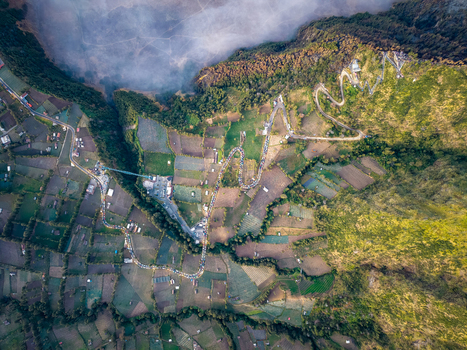 Aerial view of a winding road with a line of jeeps traveling towards Mount Bromo for sunrise surrounded by lush agricultural fields and misty terrain in Sukapura East Java Indonesia.