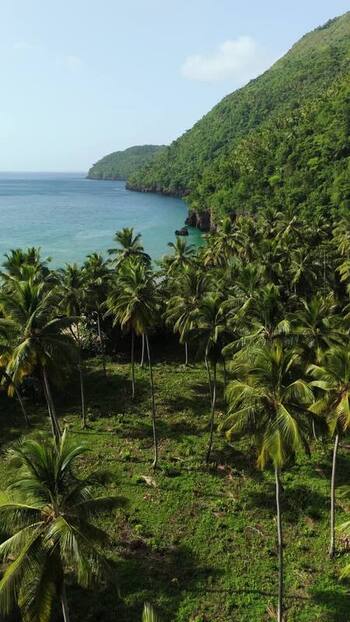Aerial view of Playa El Valle in Samana Dominican Republic.