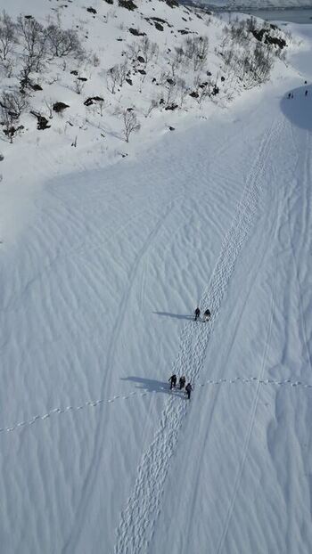 Aerial view of people hiking on snowy Kvaloya island Norway.