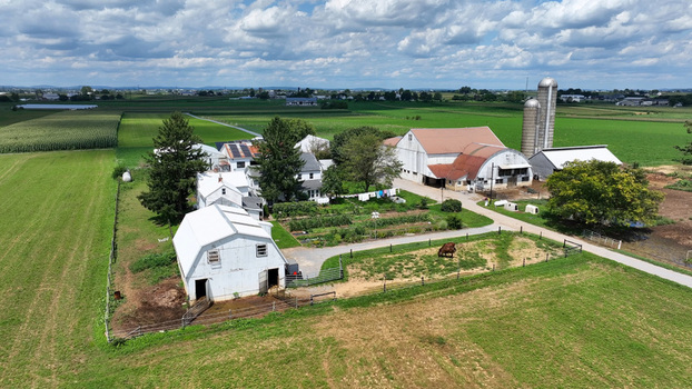 Aerial view of a traditional farmstead with white barns silos a farmhouse and grazing livestock set amidst expansive green agricultural fields in Ronks Pennsylvania United States.