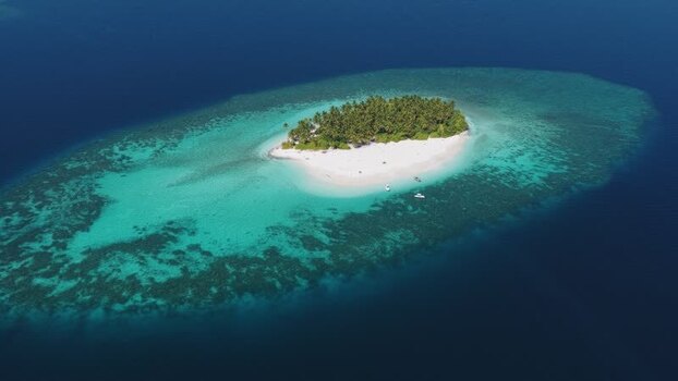 Aerial view of a tropical island with palm trees Maldives. Aerial view of a tropical island with palm trees Maldives.