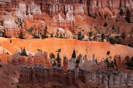 View of the iconic orange hoodoos and sandstone rock formations of Bryce Canyon National Park with scattered pine trees and hiking trails in Utah United States.