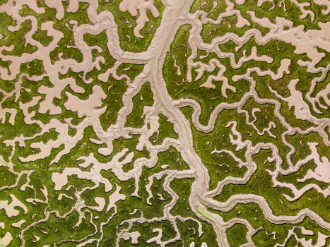 Aerial view of intricate tidal channels and salt marshes with vibrant green vegetation and winding mudflats in Andalusia Spain. Aerial view of intricate tidal channels and salt marshes with vibrant green vegetation and winding mudflats in Andalusia Spain.