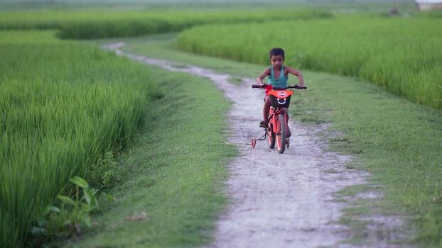 View of a child riding a bicycle through green fields Bangladesh. View of a child riding a bicycle through green fields Bangladesh.