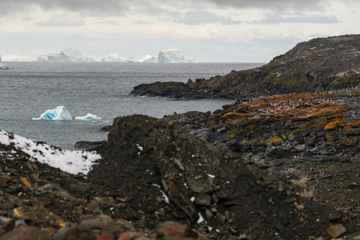 View of the rocky coastline of the South Orkney Islands with a colony of penguins on the shore icebergs floating in the sea and a cloudy sky. View of the rocky coastline of the South Orkney Islands with a colony of penguins on the shore icebergs floating in the sea and a cloudy sky.