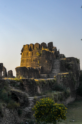 View of the historic stone walls and bastions of Rohtas Fort illuminated by golden hour light with a flowering bush in the foreground in Dina Punjab Pakistan. View of the historic stone walls and bastions of Rohtas Fort illuminated by golden hour light with a flowering bush in the foreground in Dina Punjab Pakistan.