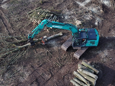 Nederland 06 July 2026 Aerial view of a Kobelco excavator working in a forest with a worker using a chainsaw to process fallen trees and logs scattered on the ground. Nederland 06 July 2026 Aerial view of a Kobelco excavator working in a forest with a worker using a chainsaw to process fallen trees and logs scattered on the ground.