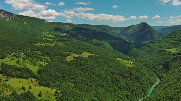 Aerial view of Tara River Canyon with lush green forests Montenegro.