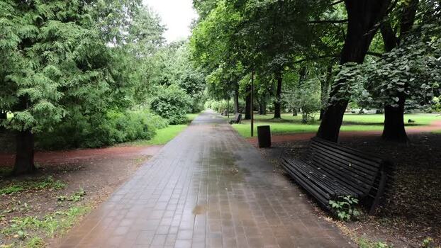 View of a park path in Kaliningrad Russia.