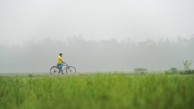 View of a man riding a bicycle through foggy fields in Bangladesh. View of a man riding a bicycle through foggy fields in Bangladesh.
