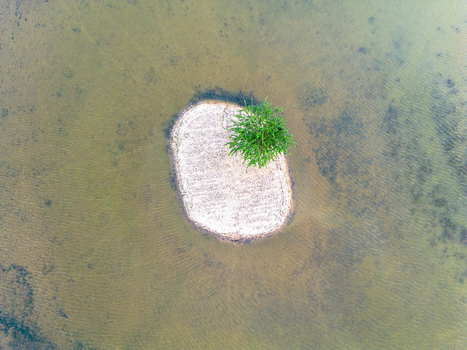 Aerial view of a small isolated island with a single green tree surrounded by murky water in the Sundarbans region Gabura Union Khulna Division Bangladesh. Aerial view of a small isolated island with a single green tree surrounded by murky water in the Sundarbans region Gabura Union Khulna Division Bangladesh.