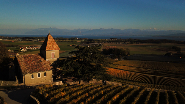 Aerial view of the historic Fechy Dessus church surrounded by golden autumn vineyards with Lake Geneva and the Alps in the distance Fechy Vaud Switzerland.