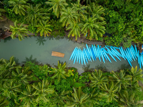 Aerial view of the Maasin River with numerous blue boats moored along the wooden walkway surrounded by lush tropical palm trees in Siargao Philippines. Aerial view of the Maasin River with numerous blue boats moored along the wooden walkway surrounded by lush tropical palm trees in Siargao Philippines.
