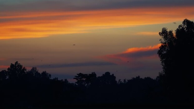 View of sunset sky over tree silhouettes in Bogura Bangladesh.