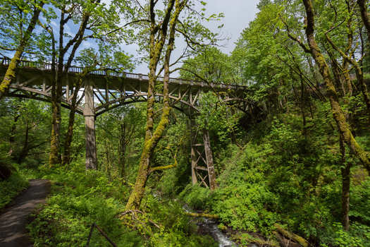 View of the historic concrete arch bridge spanning a lush forest ravine with a small stream in Hood River Oregon United States.