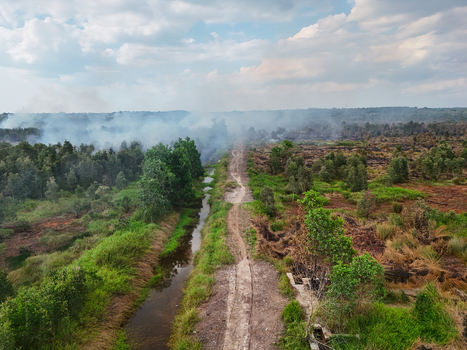 Aerial view of a dirt path running alongside a narrow canal through a forest landscape with smoke rising from a fire in Indonesia. Aerial view of a dirt path running alongside a narrow canal through a forest landscape with smoke rising from a fire in Indonesia.