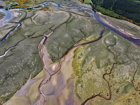 Aerial view of Findhorn Bay showing the intricate network of tidal channels sandbanks and lush green marshland in Findhorn Scotland United Kingdom. Aerial view of Findhorn Bay showing the intricate network of tidal channels sandbanks and lush green marshland in Findhorn Scotland United Kingdom.